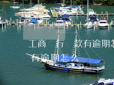 工商銀行貸款有逾期怎么辦-工商銀行貸款有逾期怎么辦