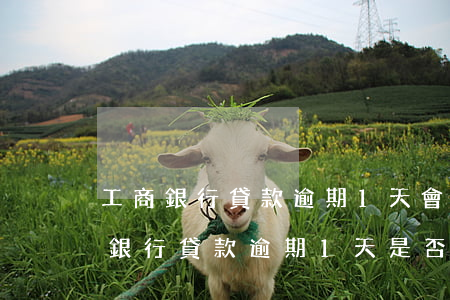 工商銀行貸款逾期1天會有不良記錄嗎，工商銀行貸款逾期1天是否會產(chǎn)生不良記錄？