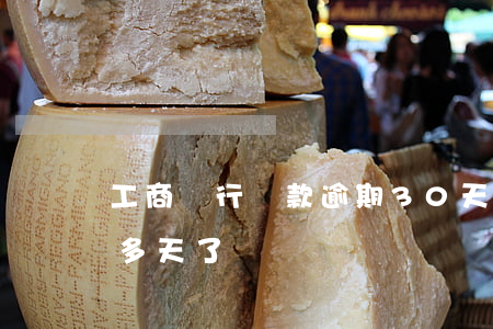 工商銀行貸款逾期30天(銀行貸款逾期20多天了)