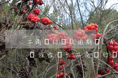 工商銀行貸款逾期會(huì)打電話和上門催收嗎-工商銀行貸款逾期會(huì)打電話和上門催收嗎