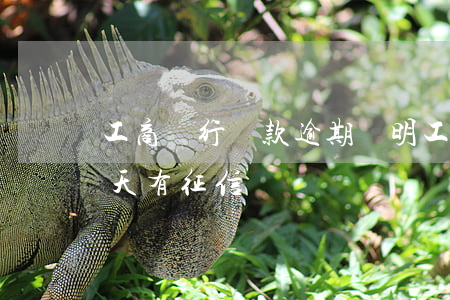 工商銀行貸款逾期說明(工行貸款逾期還款一天有征信問題嗎)