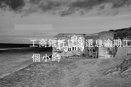 工商銀行貸款還息逾期(工商銀行房貸逾期幾個小時)