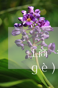 工商銀行購(gòu)車信用卡逾期一個(gè)月(上海這雨要下到什么時(shí)候)