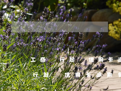 工商銀行起訴信用卡逾期多久開庭-工商銀行起訴信用卡逾期多久開庭呢
