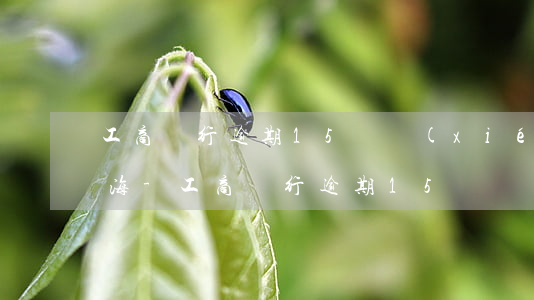 工商銀行逾期15萬協(xié)商還款上海-工商銀行逾期15萬協(xié)商還款上海律師