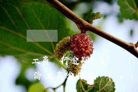 工商銀行逾期15萬協(xié)商還款上海(工商逾期能協(xié)商嗎)