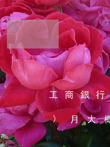 工商銀行逾期3月(工商銀行逾期一個(gè)月大概需要多還多少)
