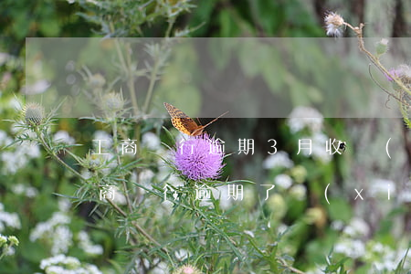 工商銀行逾期3月收費(fèi)怎么辦(工商銀行逾期了現(xiàn)在已經(jīng)還不進(jìn)去了怎么辦)