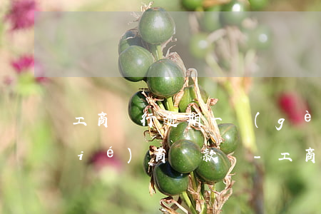 工商銀行逾期一個(gè)月了可以協(xié)商還款嗎-工商銀行逾期一個(gè)月了可以協(xié)商還款嗎