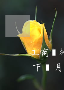 工商銀行逾期了1年了可不可以還5000下個月在還5000，工商銀行逾期一年，下月計劃還款5000元，