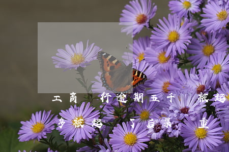 工商銀行逾期五千會被起訴(工商銀行欠一萬多被起訴了后果嚴重嗎)