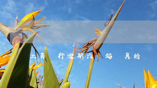 工商銀行逾期六萬起訴真的嗎