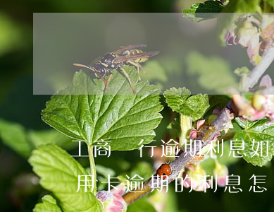 工商銀行逾期利息如何計(jì)算（工商信用卡逾期的利息怎么算）