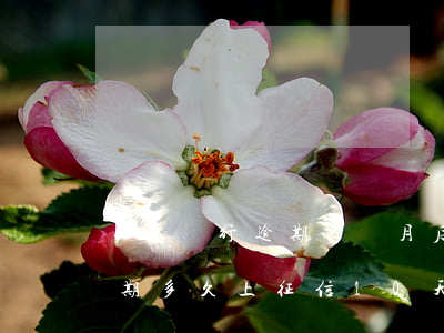 工商銀行逾期幾個月后怎么處理(工商銀行逾期多久上征信10天費用多少)