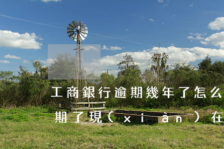 工商銀行逾期幾年了怎么處理-工商銀行逾期了現(xiàn)在已經(jīng)還不進(jìn)去了怎么辦