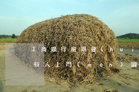 工商銀行逾期會(huì)不會(huì)有人上門(mén)調(diào)查情況-工商銀行逾期會(huì)不會(huì)有人上門(mén)調(diào)查情況呢