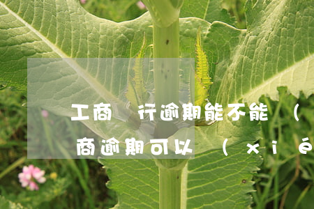 工商銀行逾期能不能協(xié)商還款(工商逾期可以協(xié)商嗎)