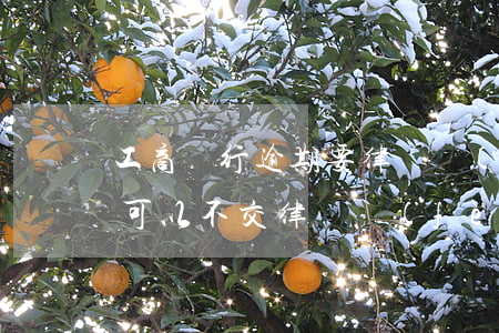 工商銀行逾期要律師費(fèi)(貸款逾期可以不交律師費(fèi))