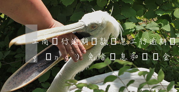 工商銀行逾期貸款罰息(工行逾期兩年申請(qǐng)免除罰息和滯納金)