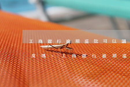 工商銀行逾期還款可以調(diào)整額度嗎-工商銀行逾期還款可以調(diào)整額度嗎