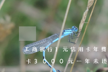 工商银行1元信用卡年费逾期 工商银行信用卡3000元一年未还