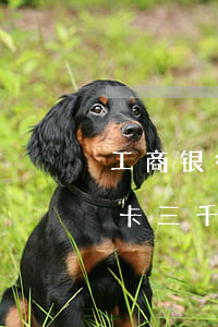 工商银行信用卡3000逾期三年（工商信用卡三千逾期三个月后果）