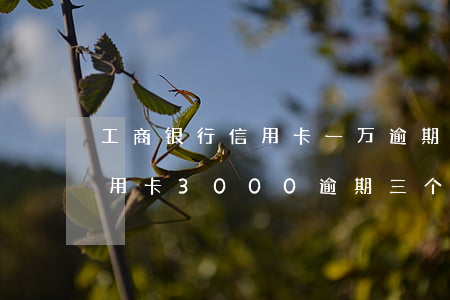工商银行信用卡一万逾期三个月(工商银行信用卡3000逾期三个月会报警吗)