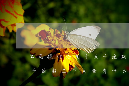 工商银行信用卡五千逾期(工商银行信用卡五千逾期三个月会有什么结果)