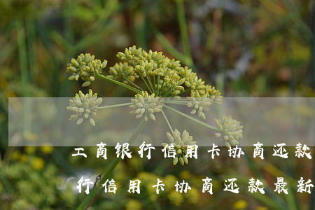 工商银行信用卡协商还款最新规定-工商银行信用卡协商还款最新规定是什么