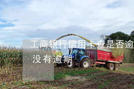工商银行信用卡查是否逾期(查自己信用卡有没有逾期)
