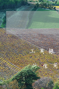 工商银行信用卡能停息减免分60期吗-工行信用卡 免息期