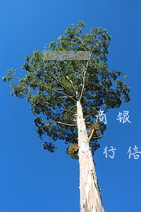 工商银行信用卡起诉后没有强制执行-工商银行信用卡起诉后没有强制执行怎么办