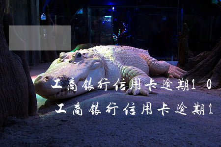 工商银行信用卡逾期10万多久会被起诉-工商银行信用卡逾期10万多久会被起诉呢