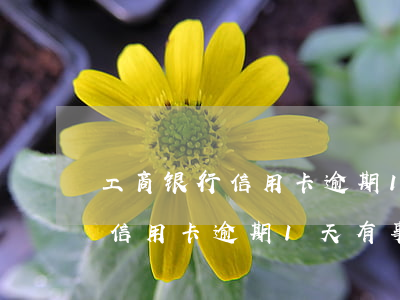 工商银行信用卡逾期1天有事吗-工商银行信用卡逾期1天有事吗怎么办