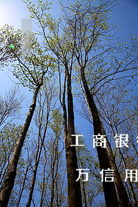 工商银行信用卡逾期21天会怎样(工行10万信用卡逾期1年)