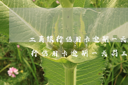 工商银行信用卡逾期一天罚三百多-工商银行信用卡逾期一天罚三百多正常吗