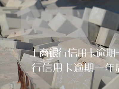 工商银行信用卡逾期一年后还不上-工商银行信用卡逾期一年后还不上怎么办