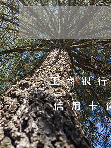 工商银行信用卡逾期一次严重吗-工商银行信用卡逾期一次严重吗怎么办