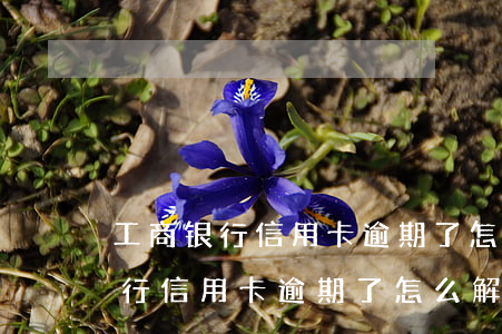 工商银行信用卡逾期了怎么解决办法（工商银行信用卡逾期了怎么解决）