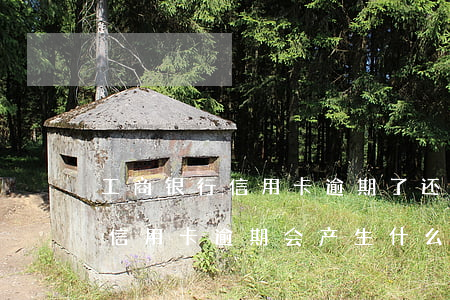 工商银行信用卡逾期了还能办吗 工商银行的信用卡逾期会产生什么后果