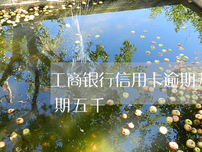 工商银行信用卡逾期五千(工商银行信用卡逾期五千)