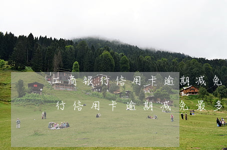 工商银行信用卡逾期减免最多多少-工商银行信用卡逾期减免最多多少钱