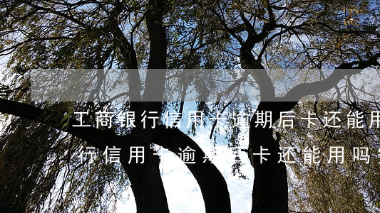 工商银行信用卡逾期后卡还能用吗-工商银行信用卡逾期后卡还能用吗安全吗