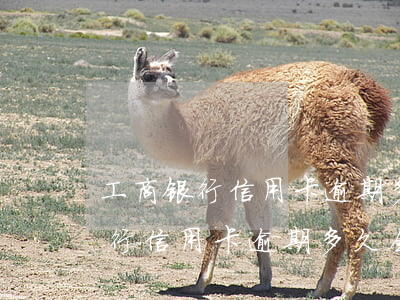 工商银行信用卡逾期多久会被起诉-工商银行信用卡逾期多久会被起诉金额3000