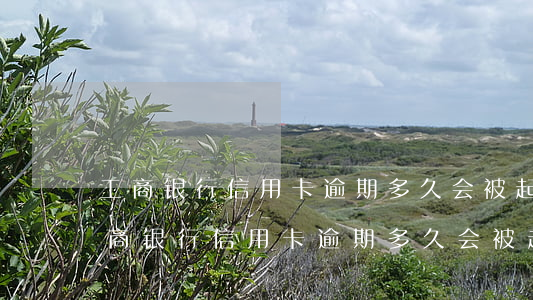 工商银行信用卡逾期多久会被起诉金额-工商银行信用卡逾期多久会被起诉金额3000
