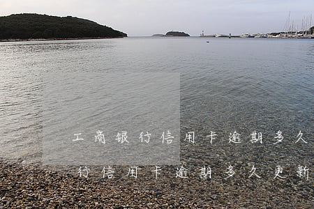 工商银行信用卡逾期多久更新征信-工商银行信用卡逾期多久更新征信报告