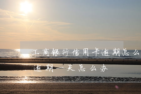 工商银行信用卡逾期怎么修复(工商的信用卡逾期一天怎么办)