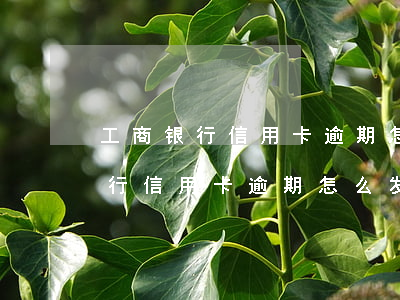 工商银行信用卡逾期怎么发律师函-工商银行信用卡逾期怎么发律师函给家人