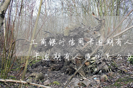 工商银行信用卡逾期有人催吗(工商银行信用卡逾期有人催吗怎么办)
