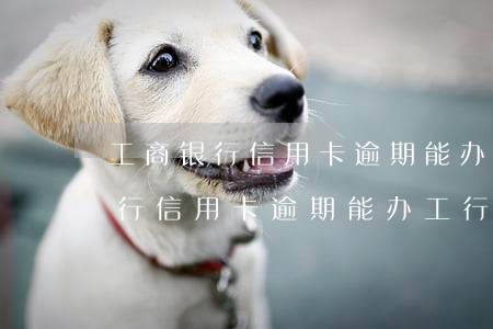 工商银行信用卡逾期能办工行卡吗-工商银行信用卡逾期能办工行卡吗